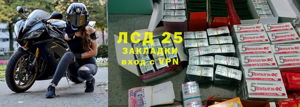 трава Арсеньев