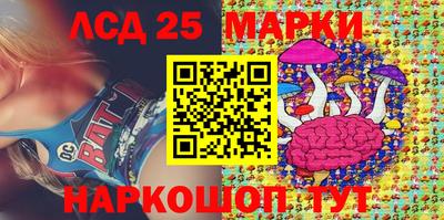 прущие грибы Гатчина