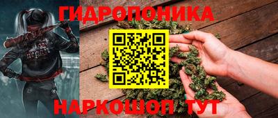 прущие грибы Гатчина