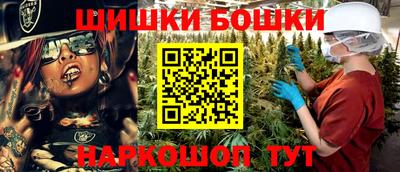 прущие грибы Гатчина
