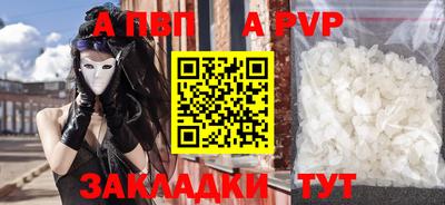 прущие грибы Гатчина