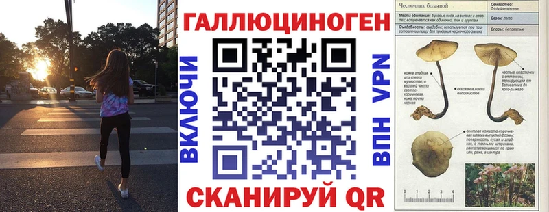 Галлюциногенные грибы Psilocybe  МЕГА   Белово 
