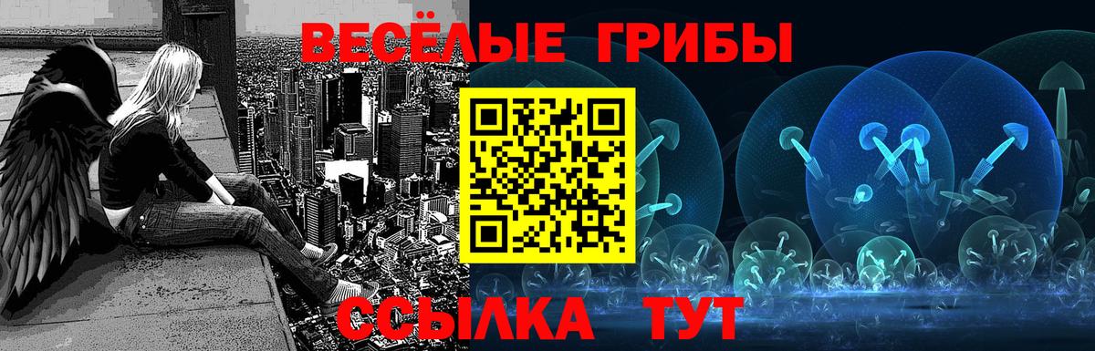 купить  сайты  Галлюциногенные грибы прущие грибы  Белово  Псилоцибиновые грибы Psilocybine cubensis 