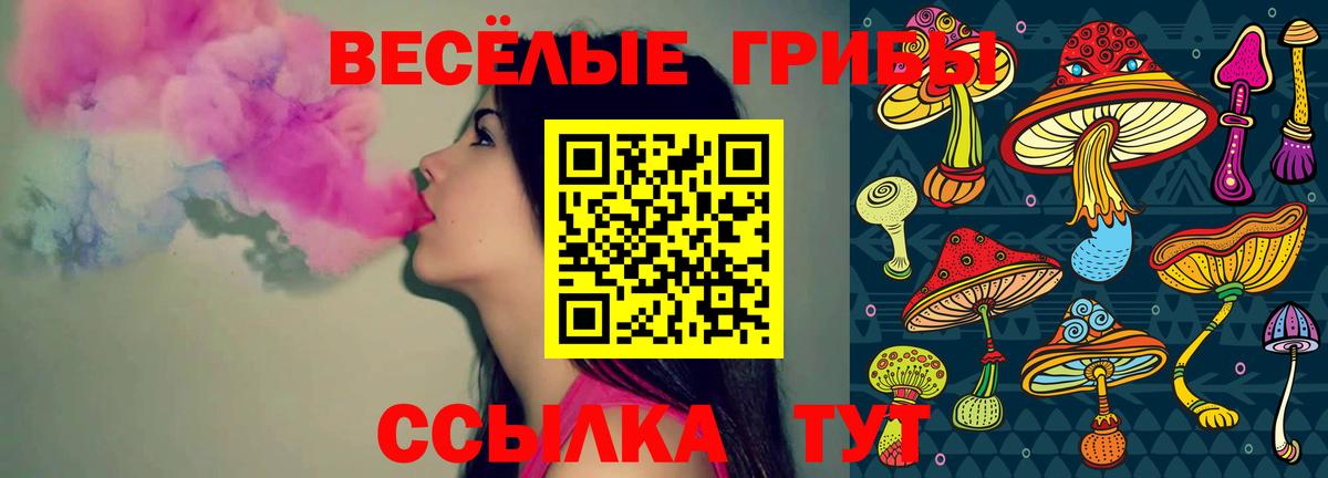 Белово  Псилоцибиновые грибы мицелий  Вход с VPN  Псилоцибиновые грибы ЛСД 